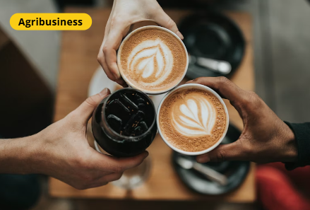 The Future of Coffee Exports: Navigating New Global Standards